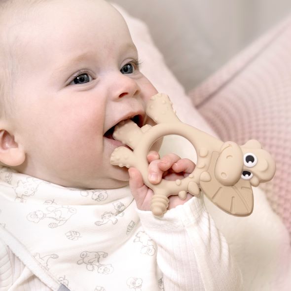Teething Toy: Dotty the Dinosaur™ - Product image