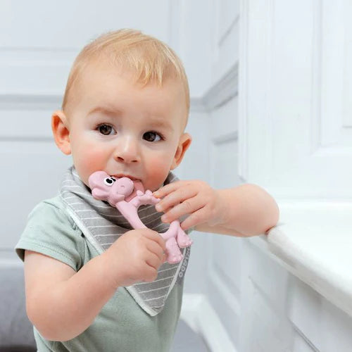 Nibble Teething Bundle