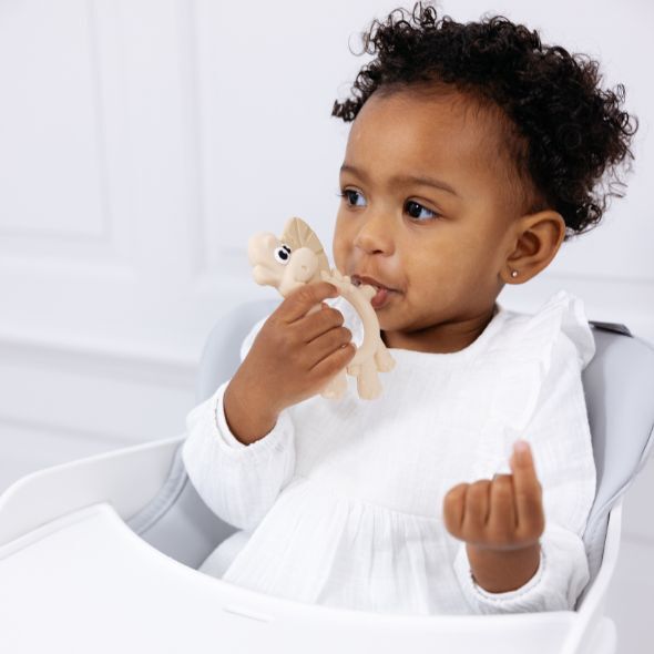 Dotty the Dinosaur™: Teething Toy - Product image