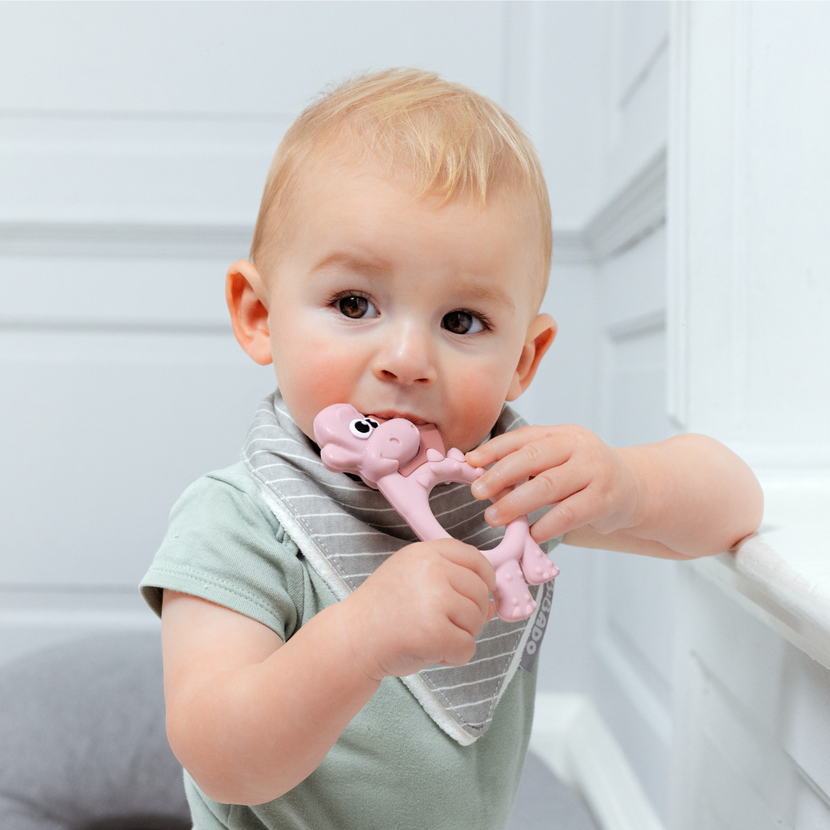 Teething Toy: Dotty the Dinosaur™ - Product image