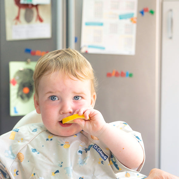 Includes first foods from NHS guidance - Product image