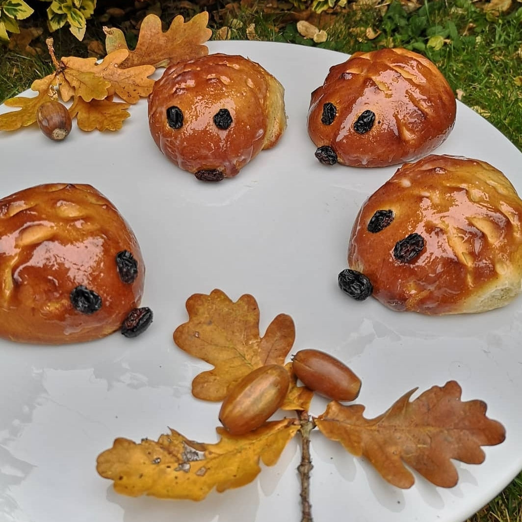 Four shiny, golden-brown hedgehog buns with raisin eyes and noses, on a white plate with autumn leaves and acorns.