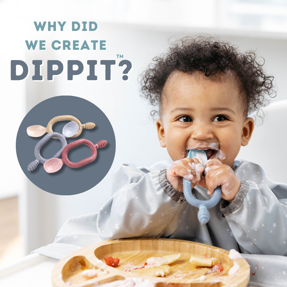 Why did we create the Dippit?